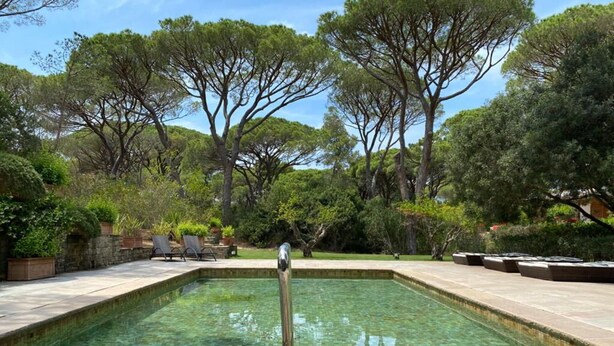 A rectangular pool with clear water, surrounded by a stone deck and lush greenery.