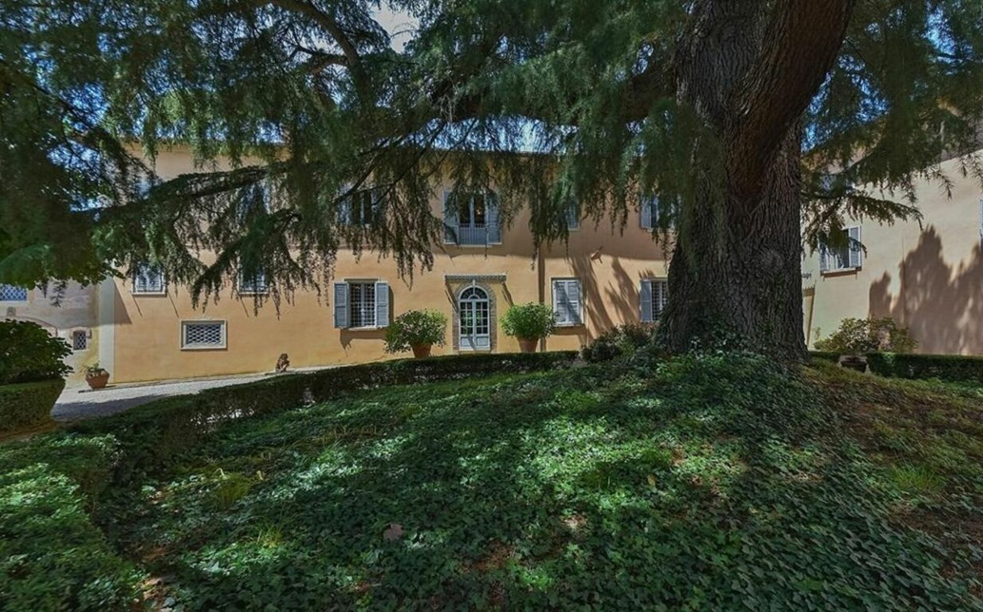 A building with a large tree in front, a paved pathway, and a well-maintained garden area.