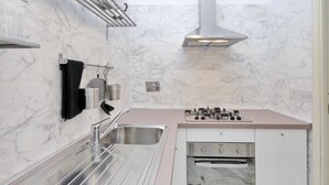 A compact kitchen with a stainless steel sink, a gas stove, and a built-in oven. - ONEBEDROOM APARMENT (Roma)