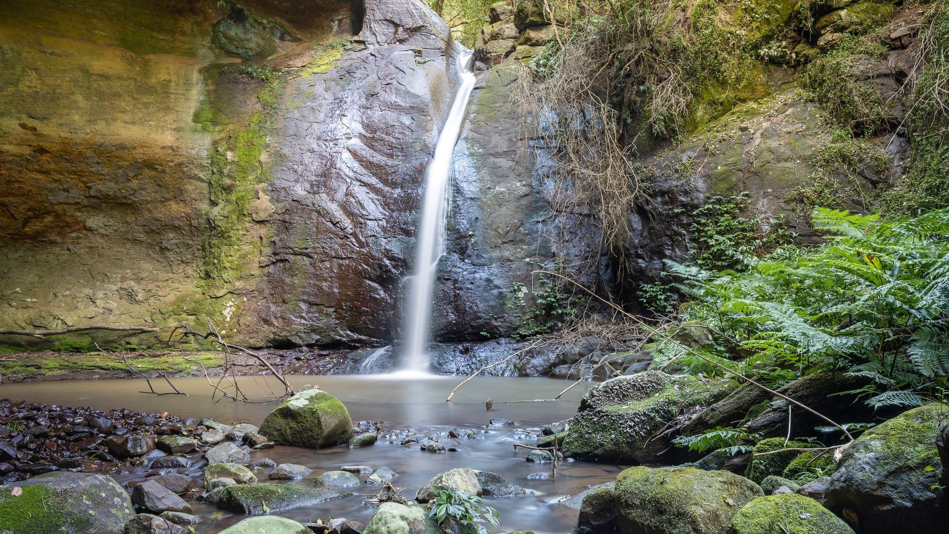 A waterfall cascading into a rocky pool surrounded by lush greenery.