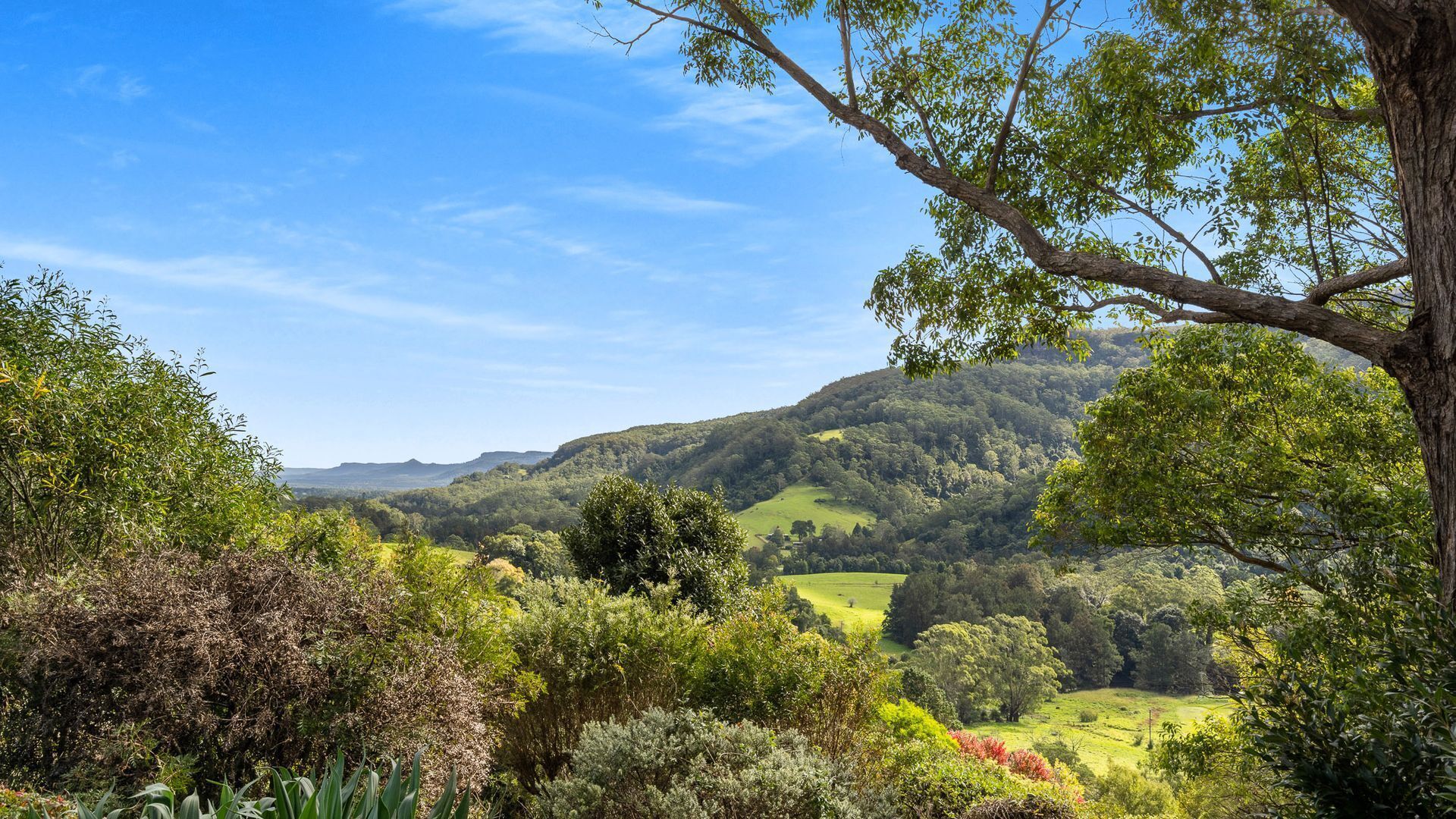 A lush landscape with rolling hills, dense greenery, and a clear blue sky.