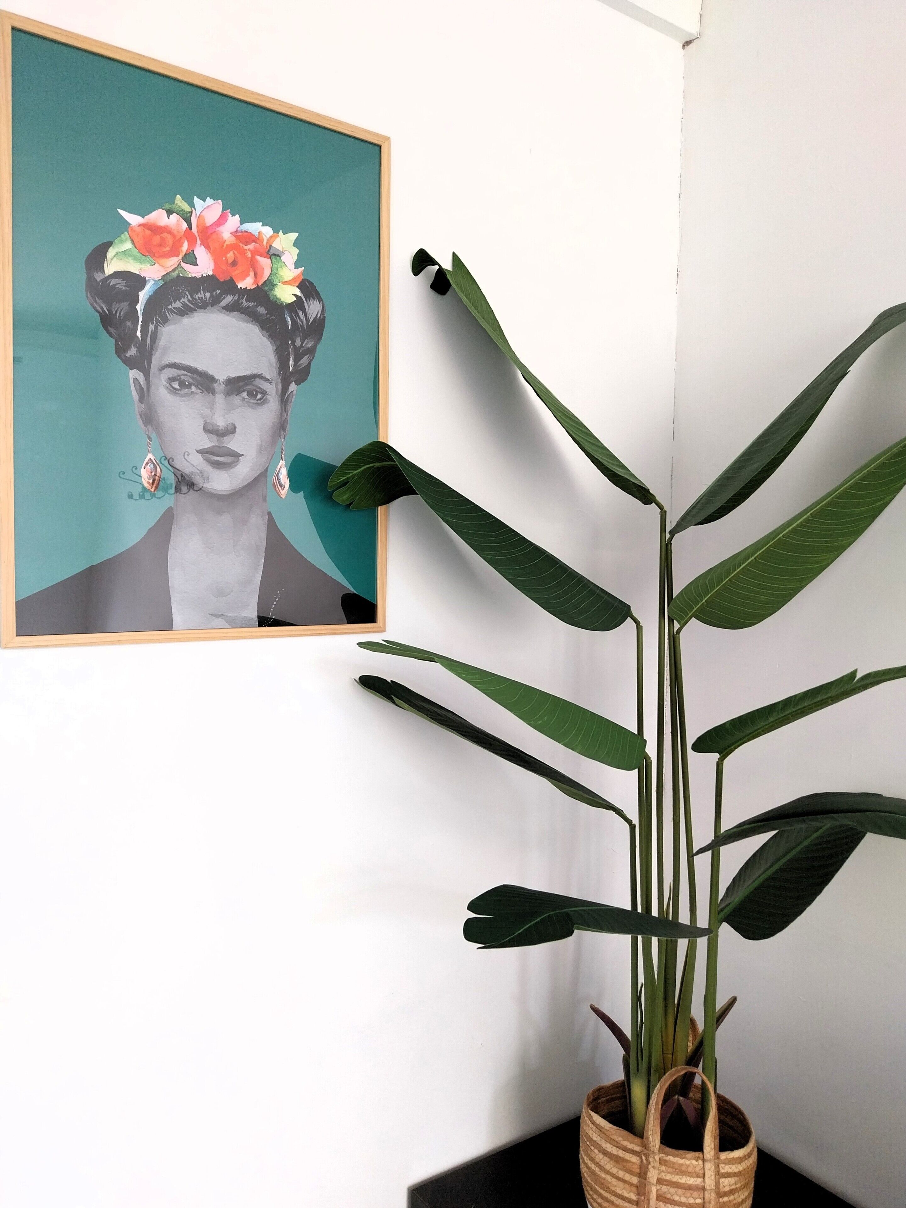 Ein gerahmtes Kunstwerk an einer Wand, ein Blumentopf mit großen Blättern und eine weiße Wand.
