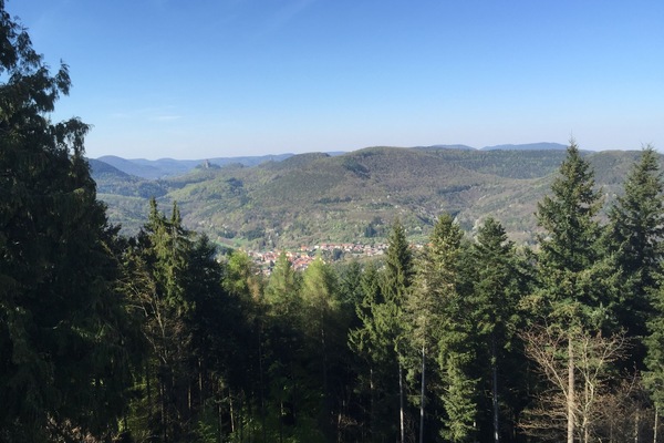 Blick vom Martinsturm Richtung Burg Trifels