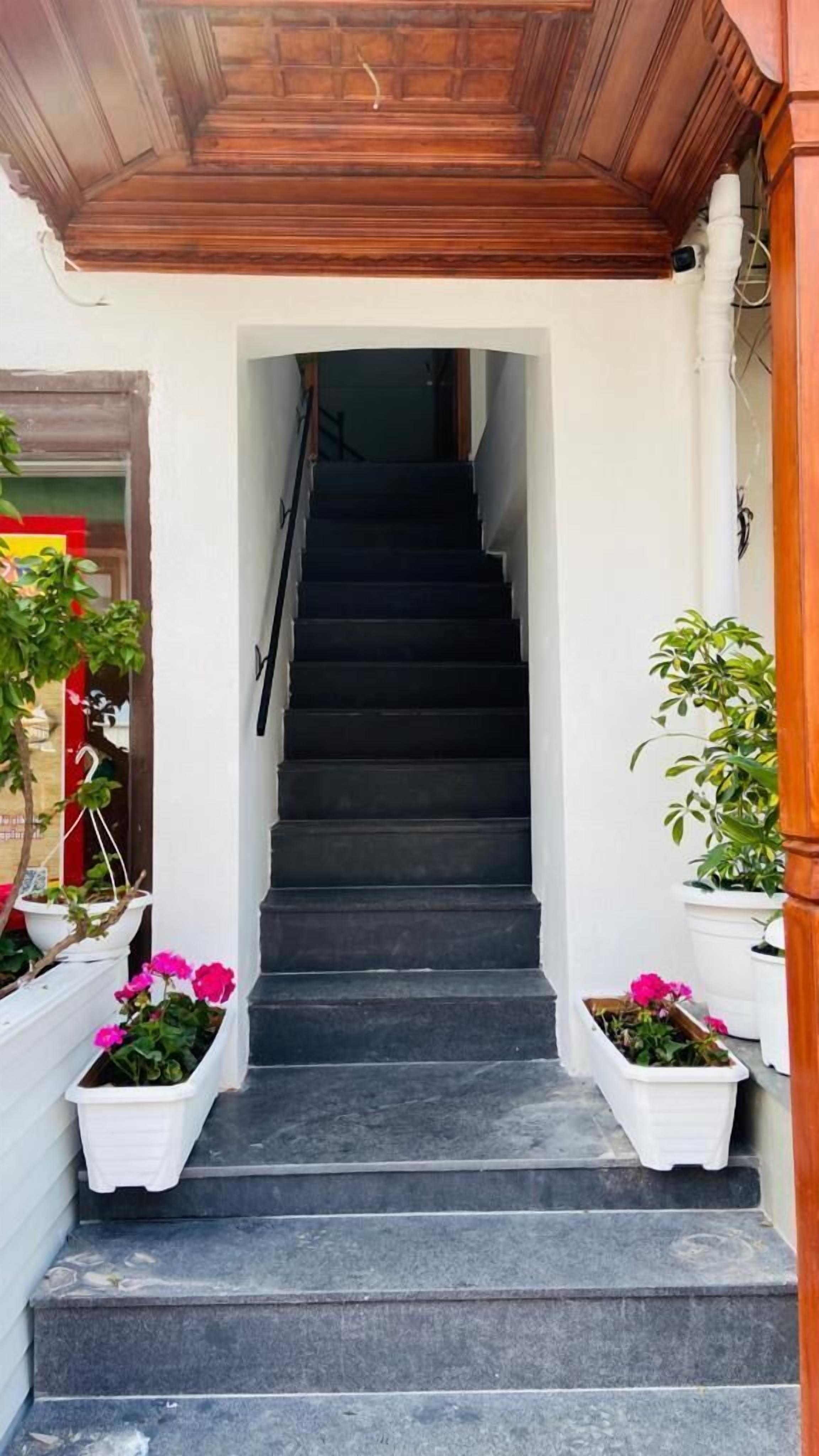 Una escalera conduce a un espacio interior, flanqueada por macetas blancas con flores.