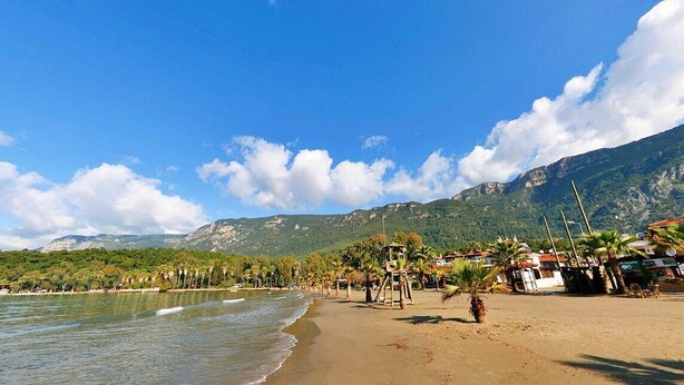 Ein Strand mit Blick auf einen Berg, Palmen und einem klaren Himmel.
