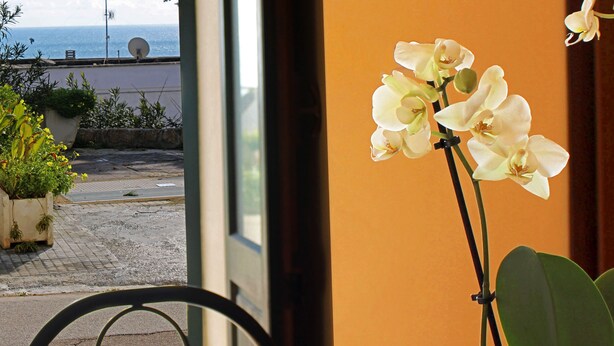 A view through a window with white orchids, a potted plant, and a glimpse of the sea. - The Count's Vaults (Castro)