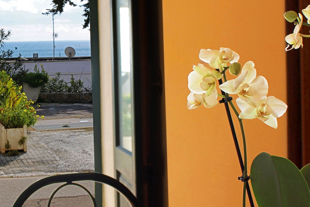 Imagen de perfil del propietario o de la propietaria