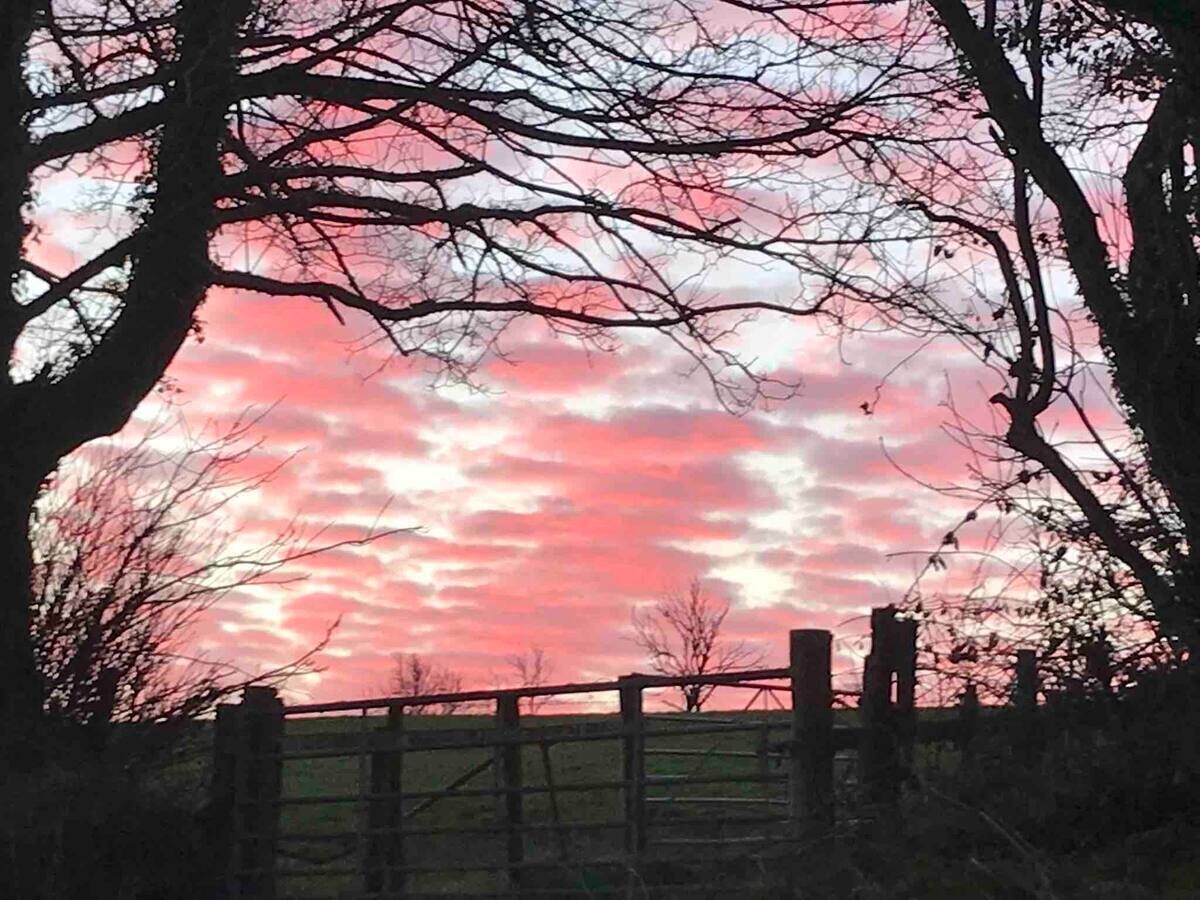 Een landelijk landschap met een houten hek en bomen die in een roze en rode zonsondergang silhouet vormen.