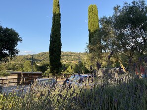 المنطقة المحيطة بالمنشأة