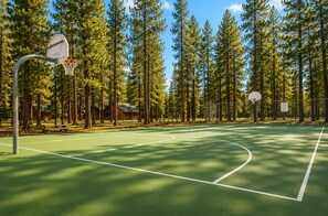 An outdoor basketball court surrounded by tall pine trees and a cabin.