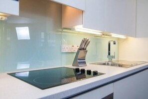 Fridge, microwave, oven, dishwasher - Spacious apartment on two levels (Bristol)