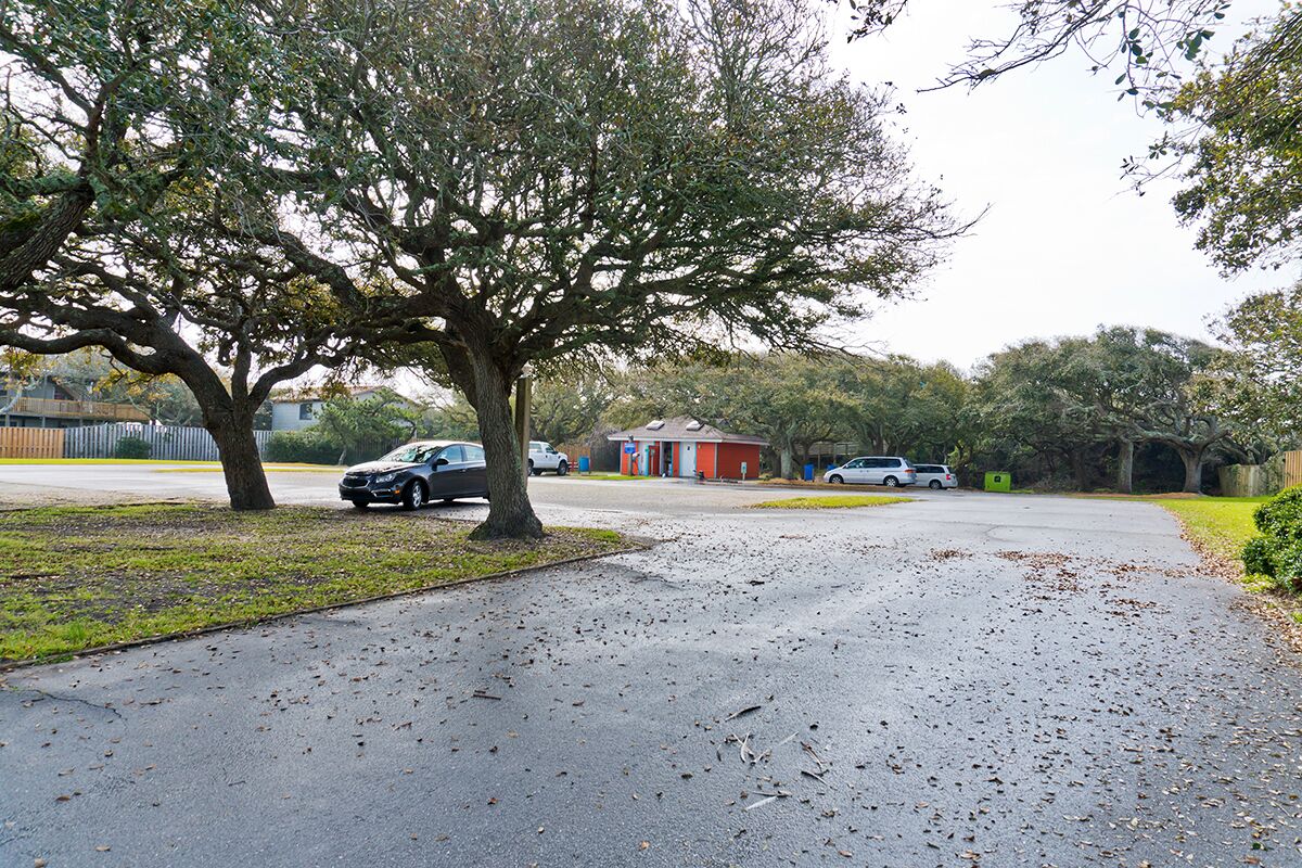A residential street with a tree-lined driveway, parked cars, and a small red building in the background.