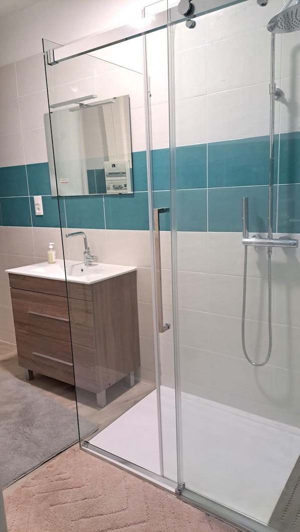 Regadera, toallas, jabón, papel de baño