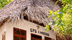Un centro de spa y masajes con techo de paja, ventanas amplias y plantas en macetas.