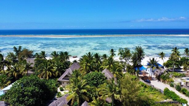 Un pueblo costero con casas de techo de paja, palmeras y una playa.