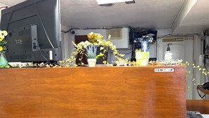 A wooden desk with a computer monitor, a vase with flowers, and a small potted plant. - Budget Inn By Oyo Corpus Christi Beach (Corpus Christi)