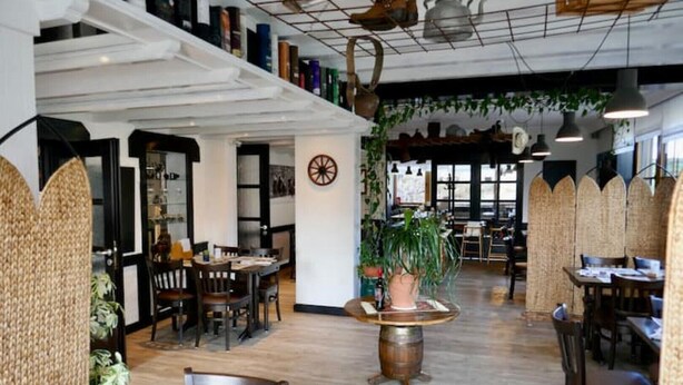 Un restaurant avec des tables et des chaises en bois, une grande plante en pot et des lampes suspendues.