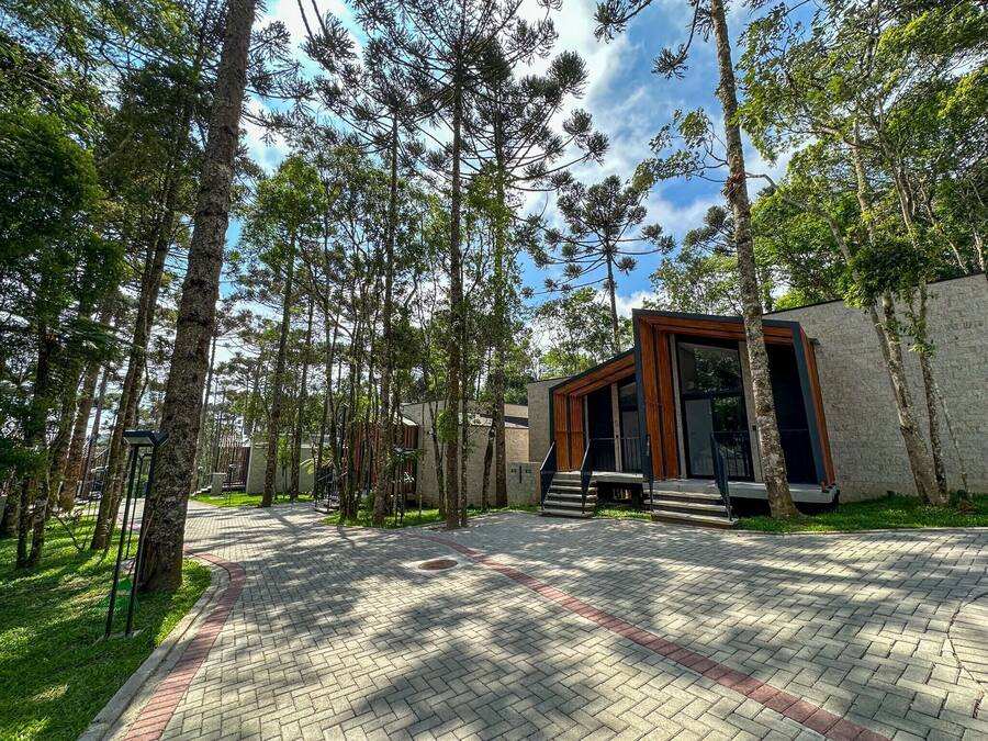 Um edifício moderno com fachada de madeira, cercado por árvores altas e um caminho pavimentado.