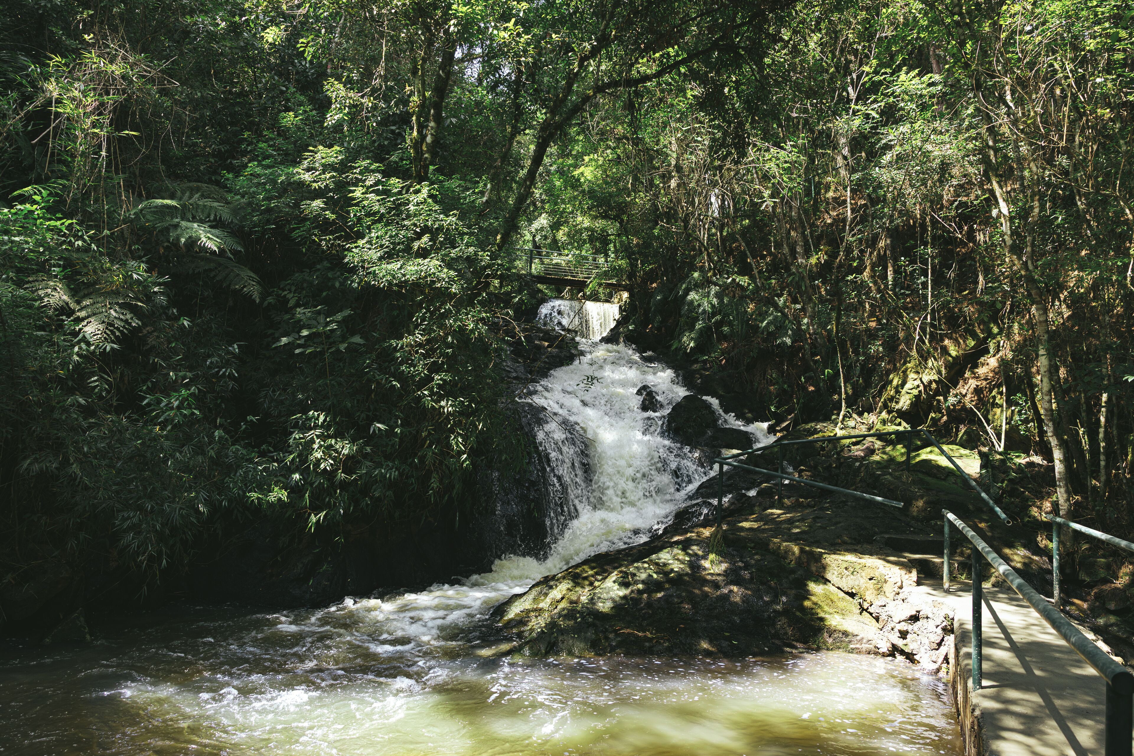 A waterfall in a forested area with a bridge and railing.