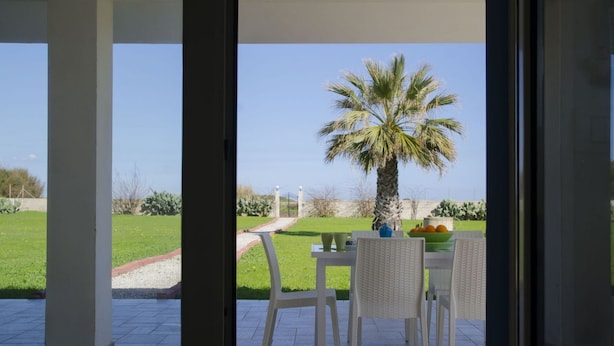 Een terras met tafel en stoelen, een palmboom en uitzicht op een groen landschap.