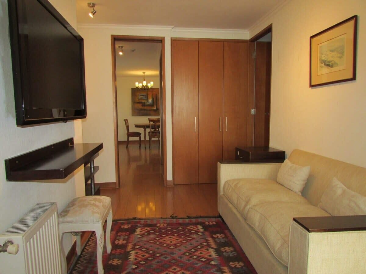 Una sala de estar con un sofá, un televisor, un radiador y una alfombra estampada.
