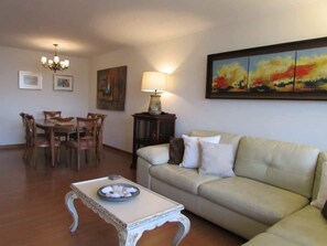 Fernseher, Arbeitsbereiche