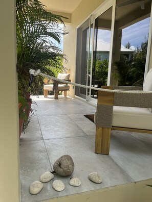 Terraza o patio