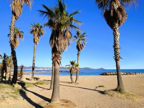A beach with palm trees and a clear blue sky.