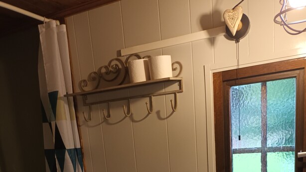 Een badkamer met toilet, raam, douchegordijn en een plank met toiletpapier.