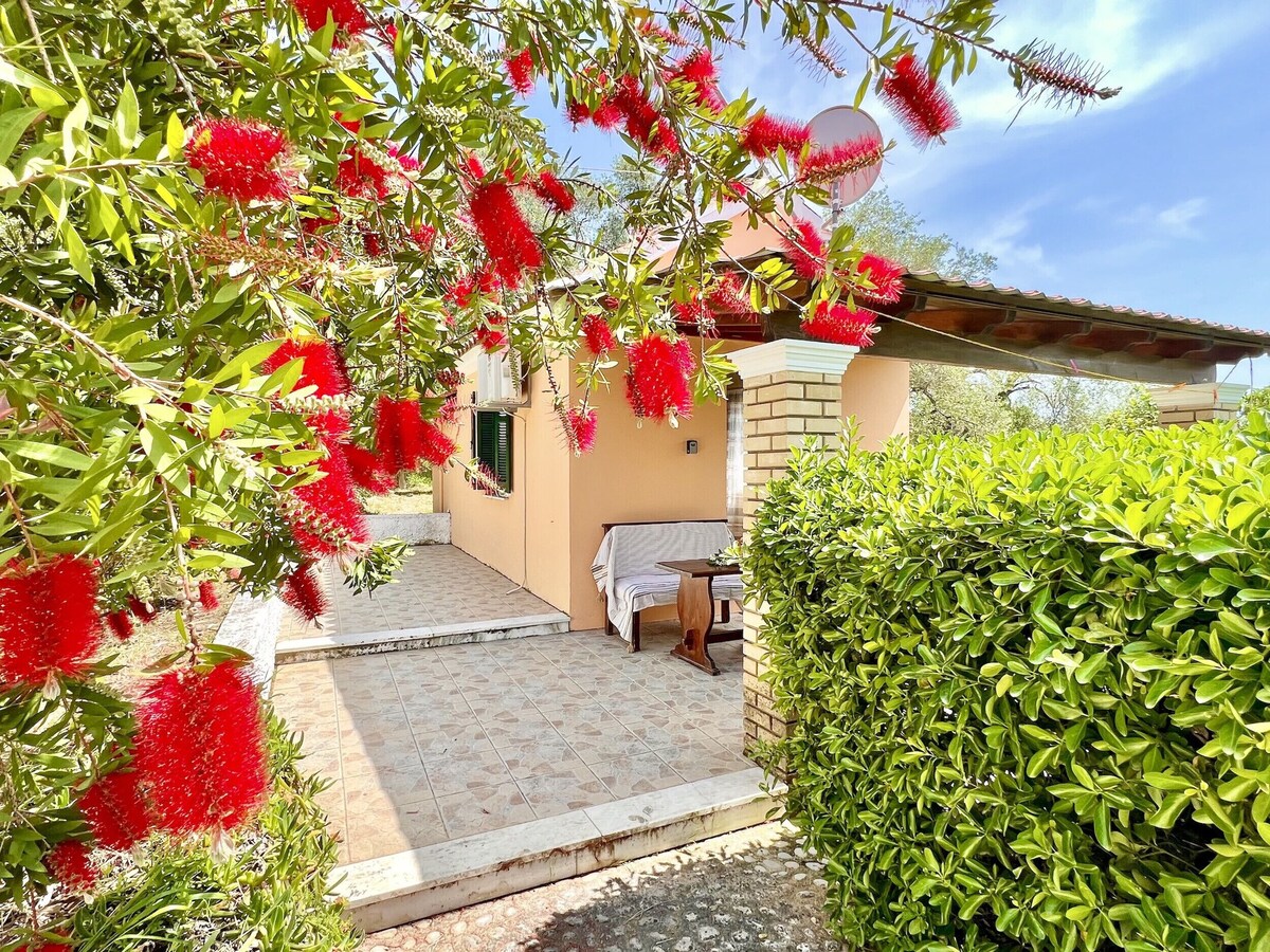 Imagem do perfil do anfitrião