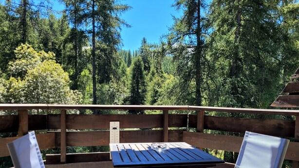 Une terrasse en bois avec une table et deux chaises, entourée d’une forêt dense.