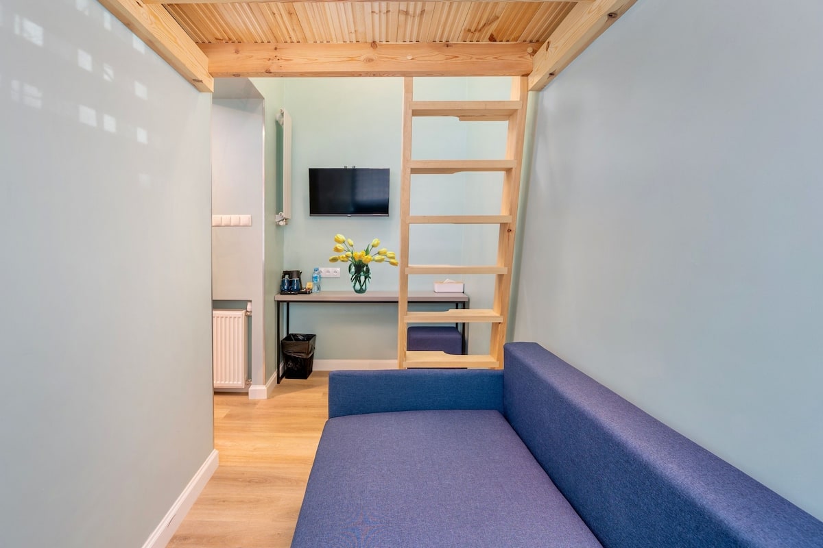 A compact room with a wooden ceiling, a blue sofa, a small desk with a TV, and a plant.