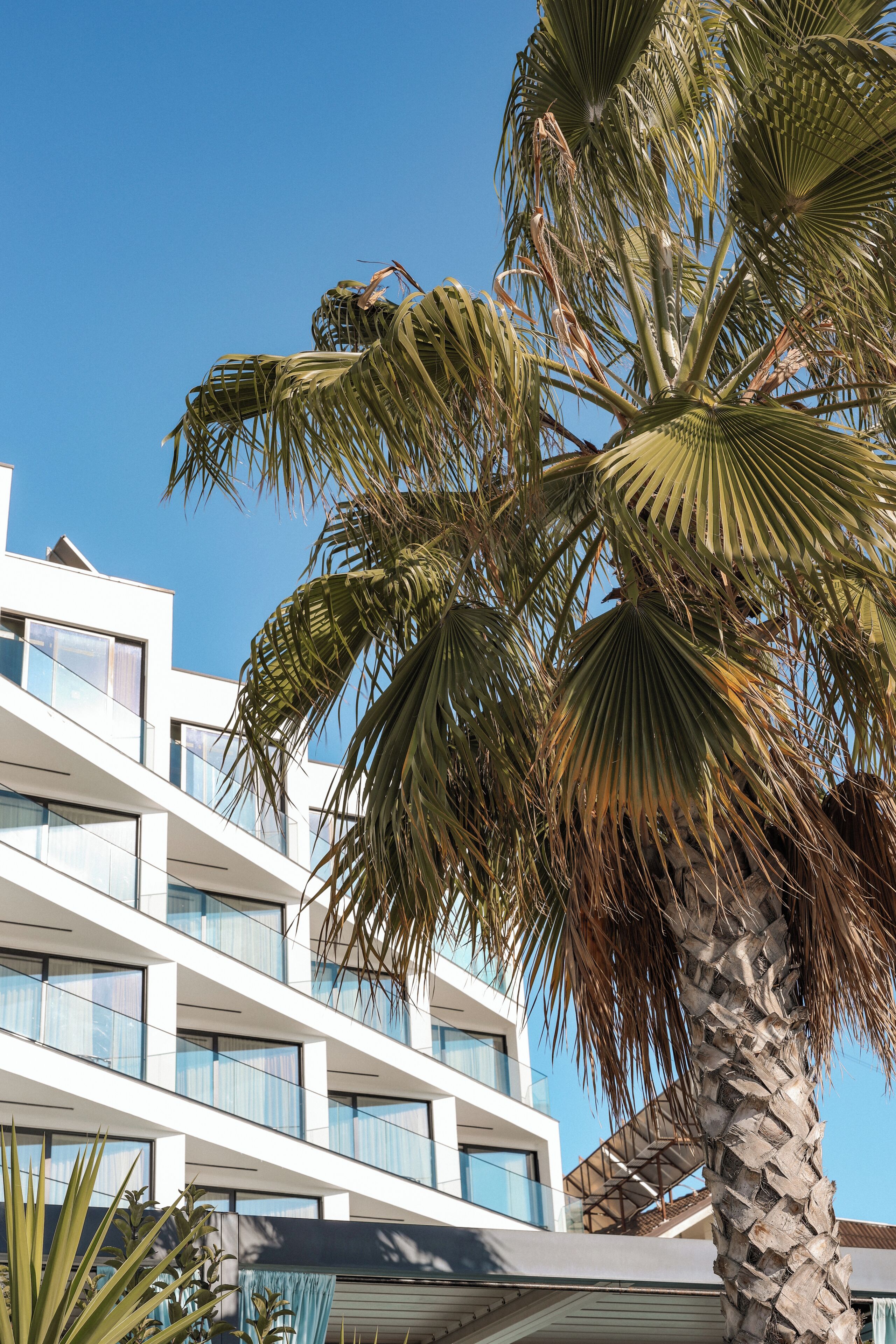 Photo - Luxury Premium Finese Hotel & SPA