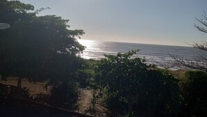 Une vue dégagée sur l’océan, illuminée par un soleil éclatant, entourée de verdure et avec une route au premier plan.
