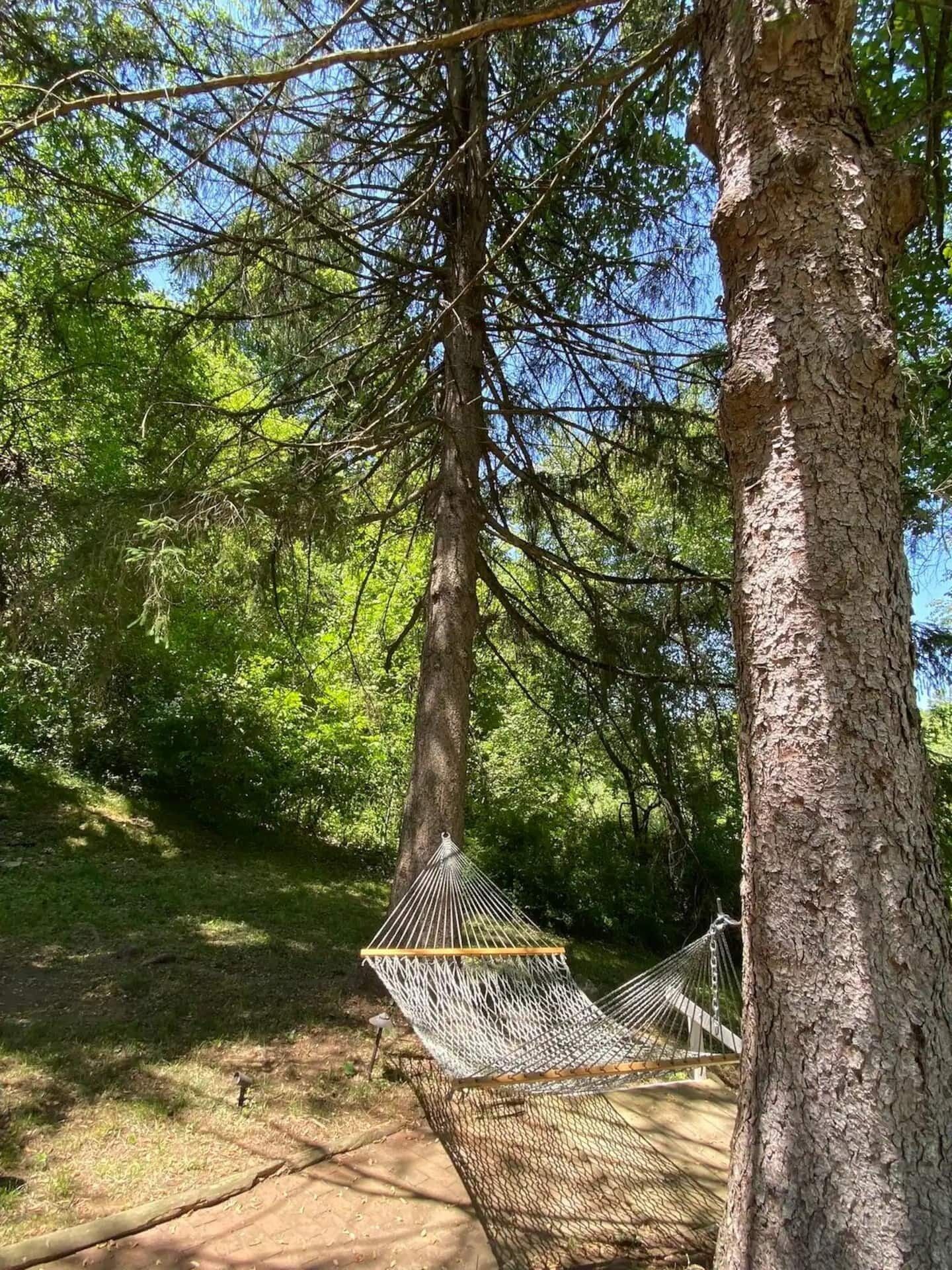 Àrea exterior de l&#x27;allotjament