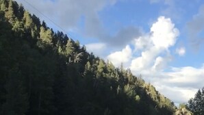 Metsän reunustama soratie ja kirkas taivas.