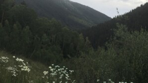 Luonnonkaunis maisema, jossa on tiheää metsää ja kukkuloita.