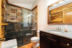 Shower, hair dryer, bidet, towels