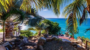 A tropical resort with a view of the ocean, palm trees, and a rocky landscape. - MyALL Tortola (Road Town)