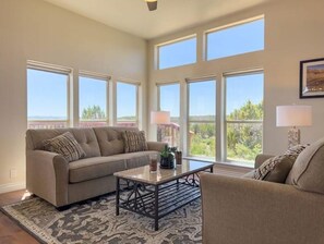 Smart TV, fireplace, books
