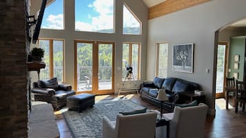 Smart TV, chimenea, reproductor de DVD y libros