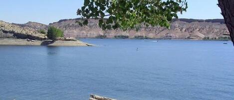A calm lake with rocky shores and a tree in the foreground.