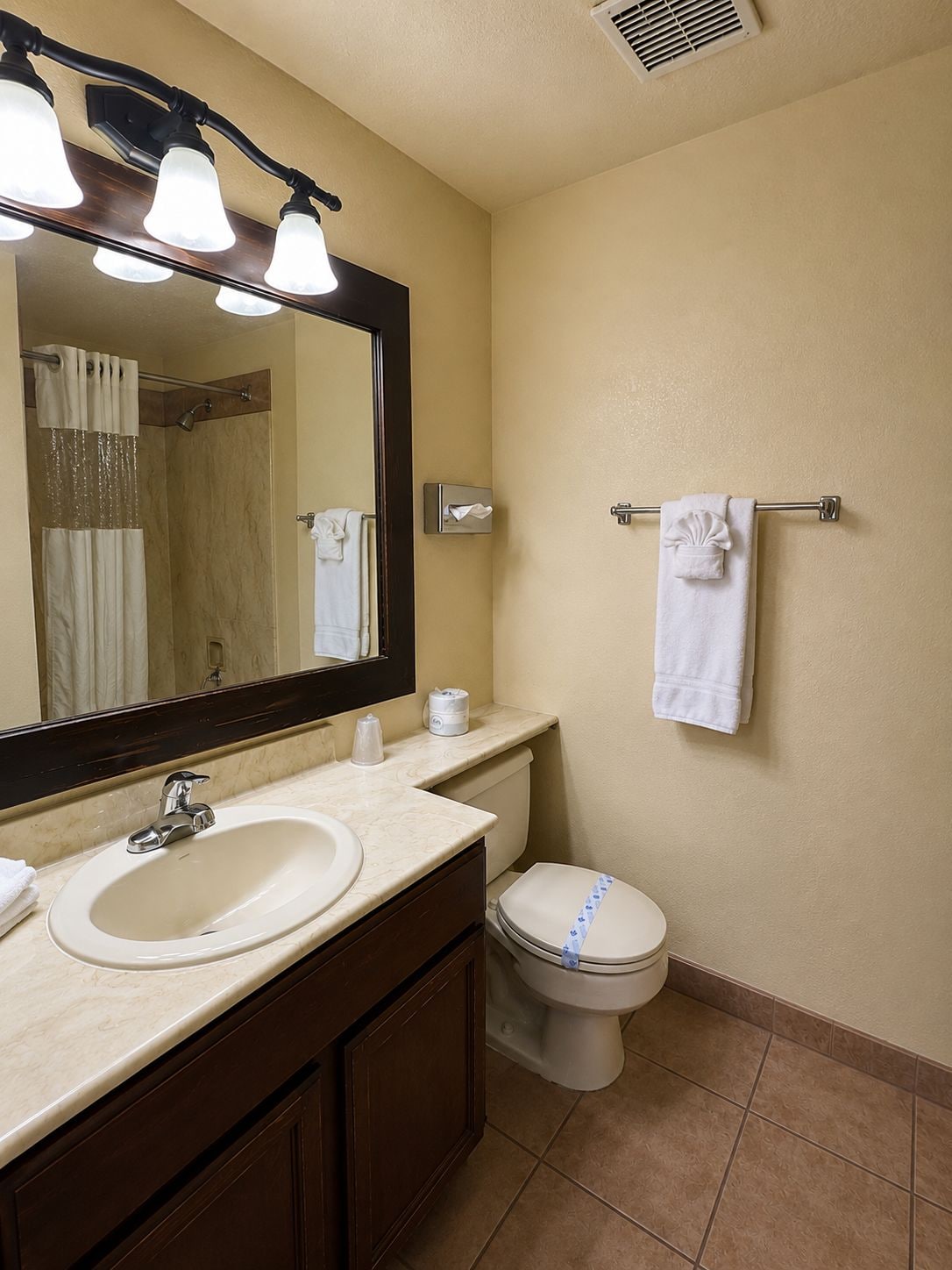 A bathroom with a sink, mirror, towel rack, toilet, and shower curtain.