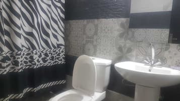 Shower, hair dryer, bidet, towels