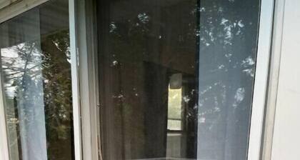 Cozy Century Apartment