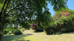 Een verzorgde tuin met verschillende bomen en struiken, een duidelijk pad en een gazon.