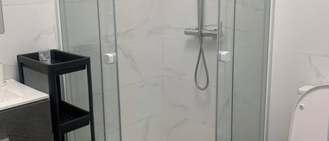 Ducha, toallas, shampoo, papel higiénico