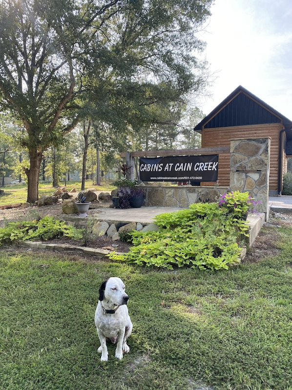 A wooden cabin with a stone facade and a sign reading "CABINS AT CAIN CREEK".