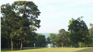 Ein Golfplatz mit Fahnenstange, Bäumen und einem Gewässer im Hintergrund.