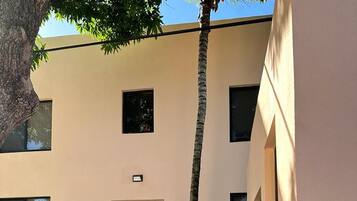 A modern building with a flat facade, a central entrance with steps, and a palm tree in the foreground.